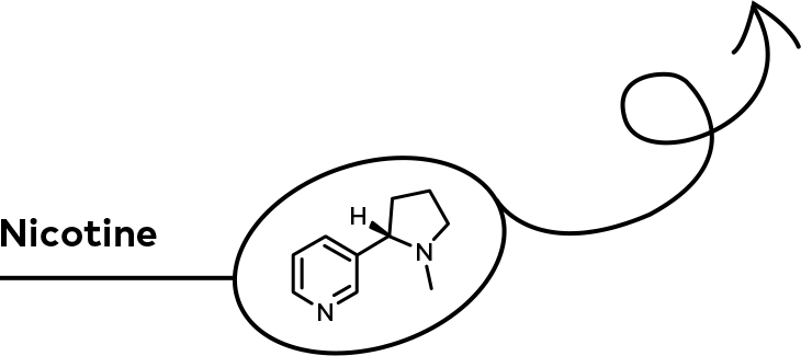组 15-1