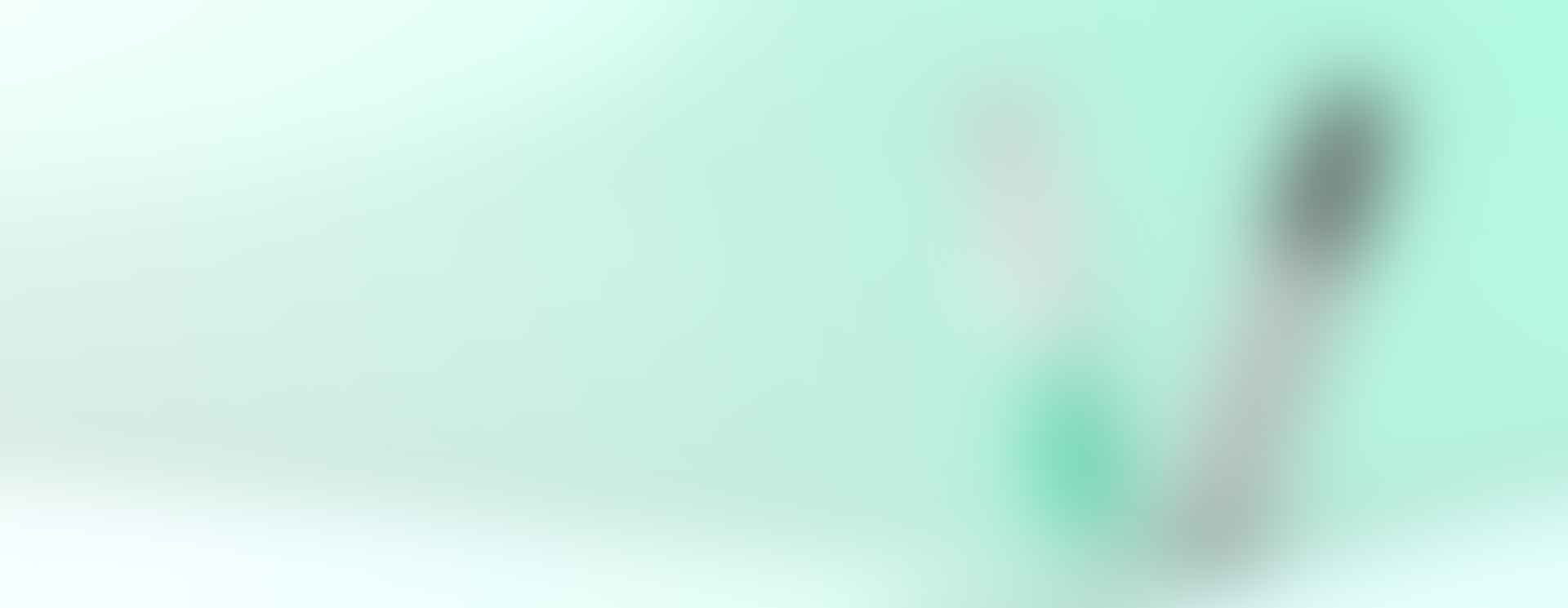 Endura S1 banner